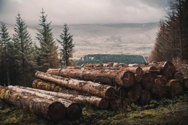 Вам нужно поливать после нанесения GrubEx?
