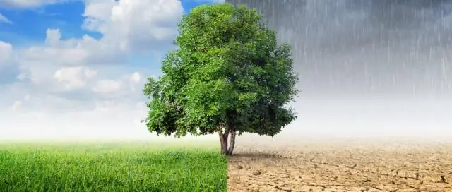 В чем разница между герметизацией и глазированием?