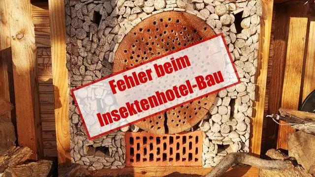 Что будет, если у вас пожар в дымоходе?