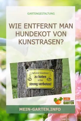 Как очистить искусственную траву от собачьих экскрементов?