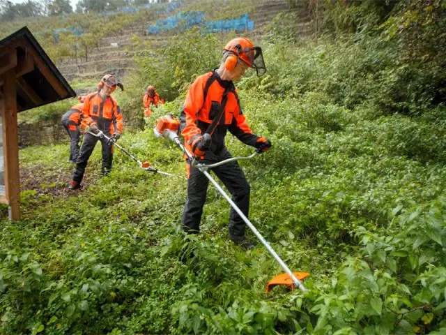 Как начать работу с Stihl FS 46 Weedeater?