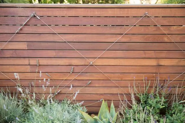 В чем разница между чайной розой и флорибундой?