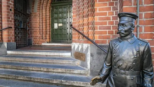 Как пересаживать мексиканские петунии?