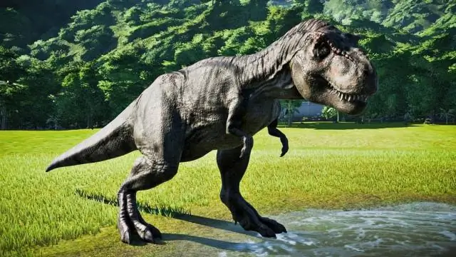 Можно ли использовать уксус на Trex?