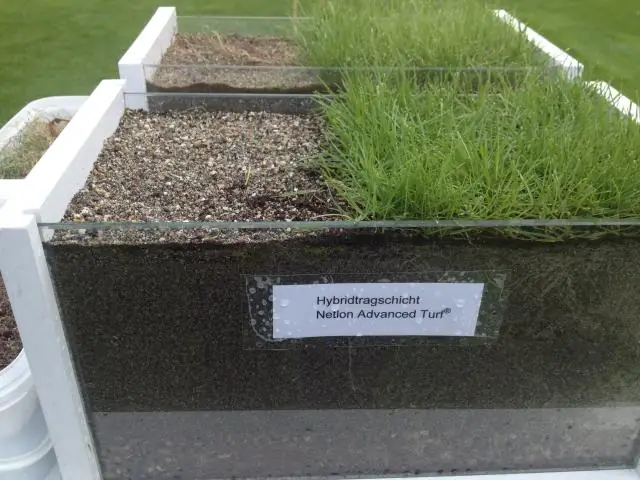 Сколько нужно поливать после укладки дерна?