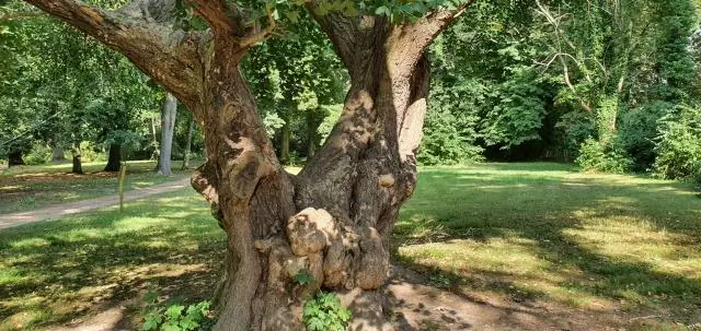 Можете ли вы изменить покрытие бассейна?