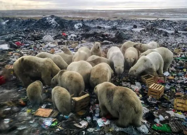 Уйдет ли коричневый патч сам по себе?