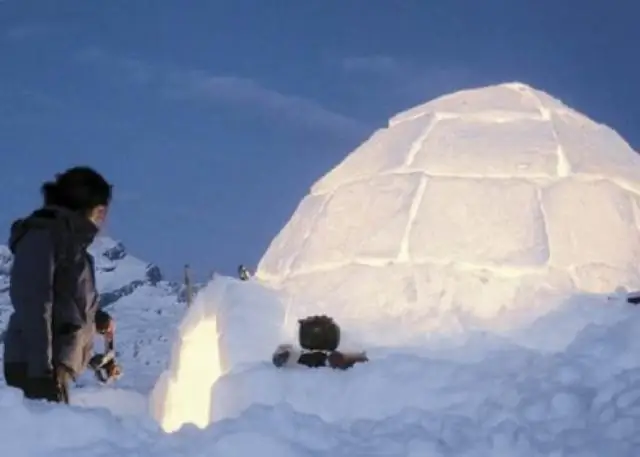 Как вы выращиваете радужный перец?