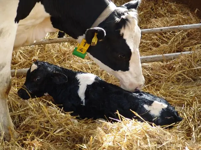 Как работает проточный водонагреватель?