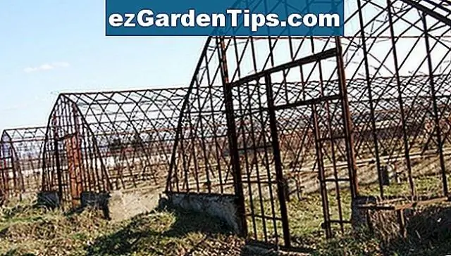 Какие овощи можно выращивать в теплице зимой?