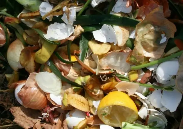 Сколько Servpro взимает за удаление плесени?