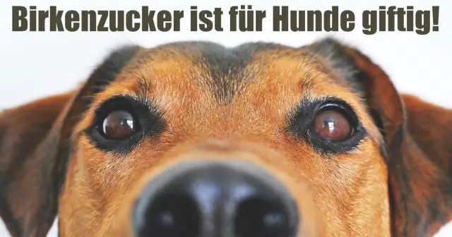 Токсичен ли ковер для собак?