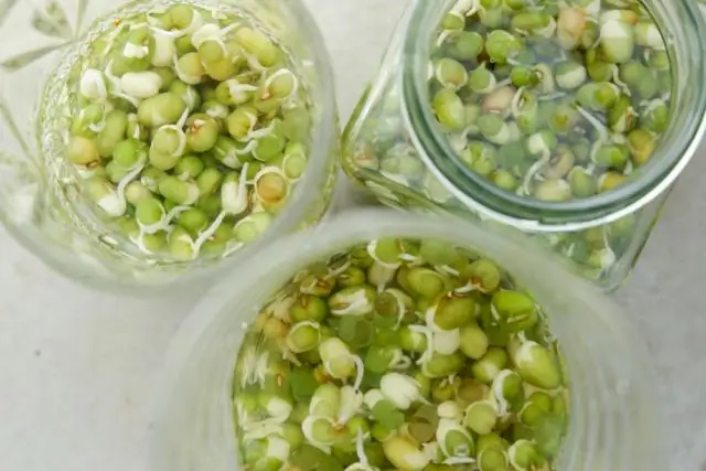 Стоит ли замочить семена моркови перед посадкой?