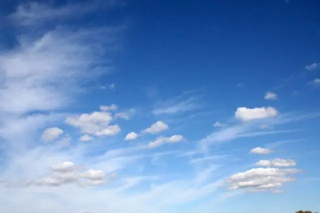 Можете ли вы использовать Goof Off для удаления обоев?