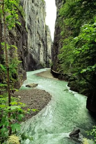 Как сделать подвесную корзину из папоротника?
