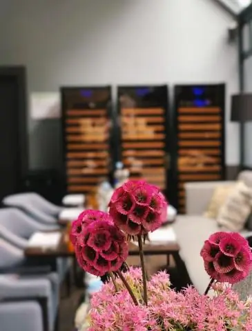 Можете ли вы запустить холостяцкие пуговицы в помещении?