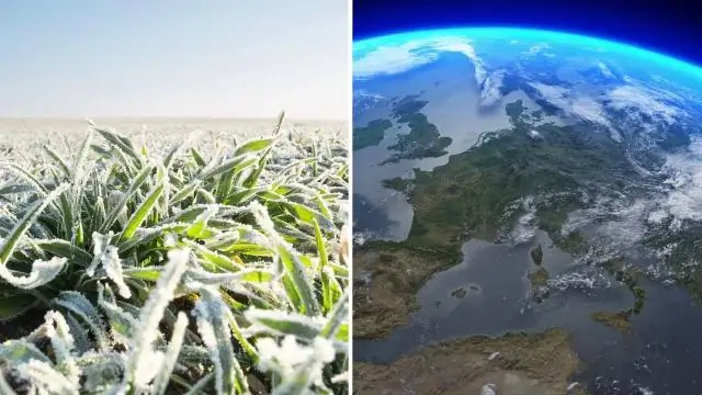 Как долго длится курсы дизайна интерьера?