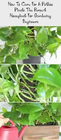 Что делать с заросшим фосфором?