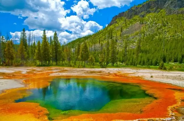Какие отстойники самые лучшие?