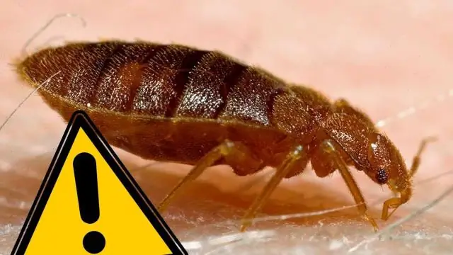 Как долго служат лампы HPS?