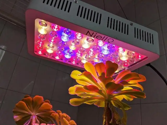 Можно ли использовать почву Miracle Grow для выращивания трав?