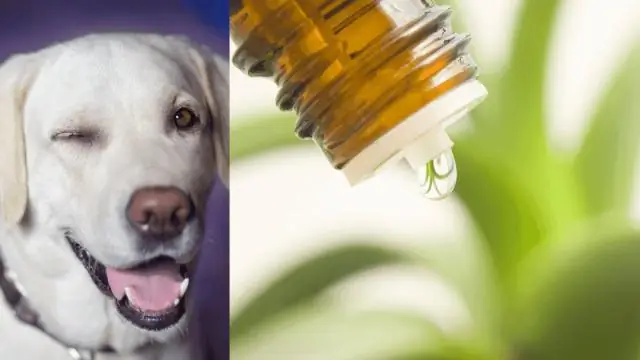 Убивает ли уксус Мэртейл?