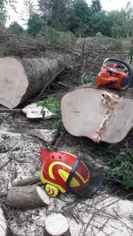 Echo лучше Husqvarna?