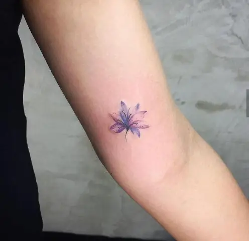 Как сохранить цветение Forget Me Nots?