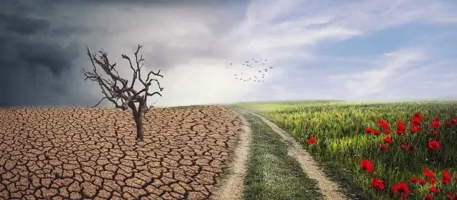 Можете ли вы перевернуть штормовую дверь?