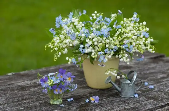 Считаются ли розы кустарником?