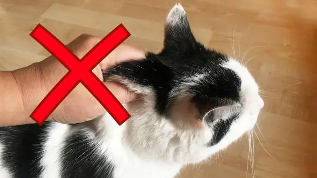 Как исправить незакрепленную ручку на холодильнике Самсунг?
