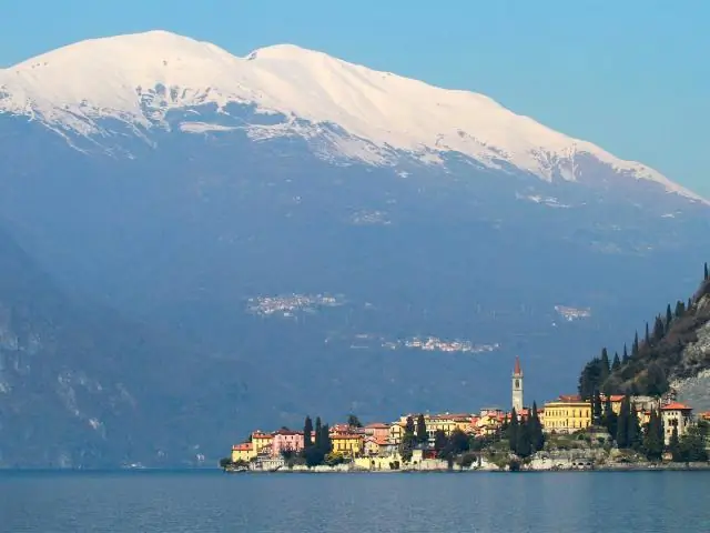 Как посадить высокий тополь?