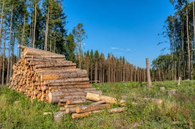 Сколько стоит бензопила Stihl с батарейным питанием?