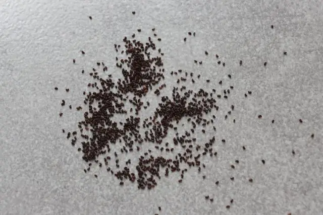 Насколько сильно нагреваются наматрасники?