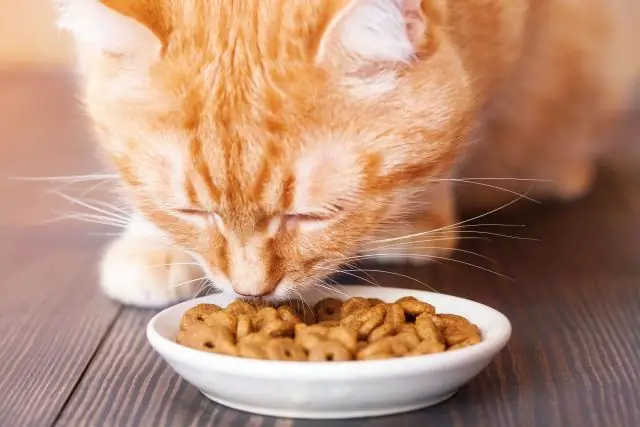 Какая лучшая еда для бамбуковых растений?