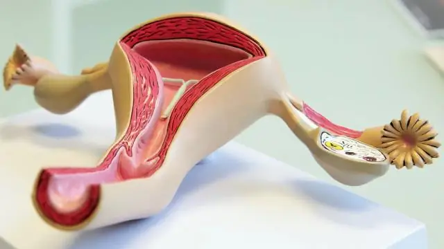 Сколько стоят диапазоны Blue Star?