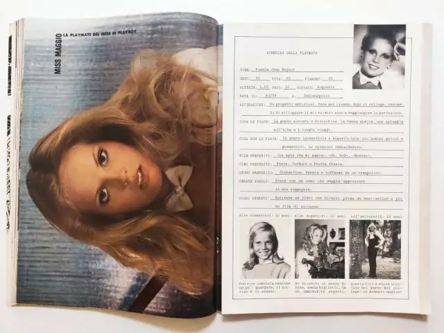 Какой ледогенератор для дома самый лучший?