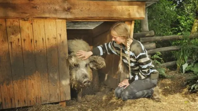 Нужен ли мне насос для сточных вод?