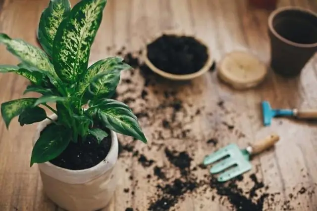 Что входит в состав горшечной почвы Miracle Grow?