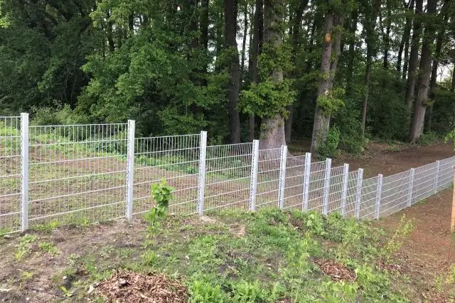 Что я должен посадить в своем саду?