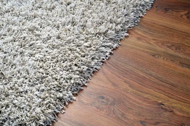 Как использовать насадку для домашних животных Bissell ProHeat?