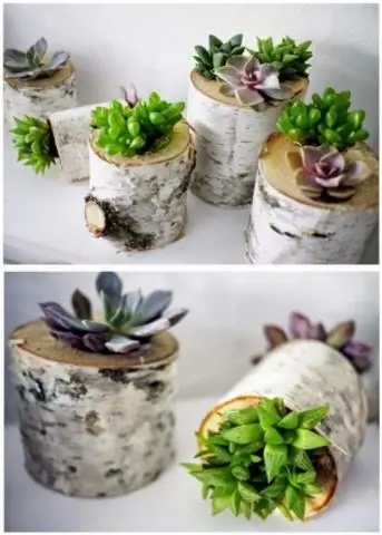 Как поставить грядку из мульчи вокруг дерева?