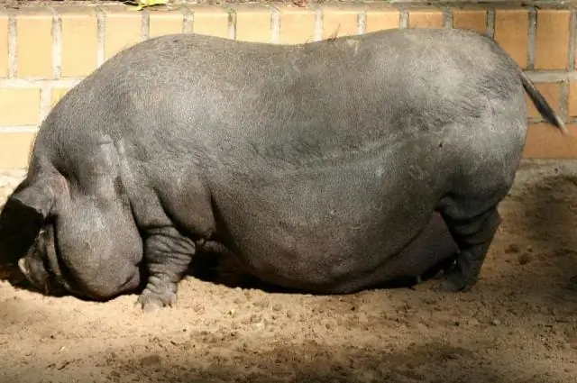 Что такое стандартная высота стойки?