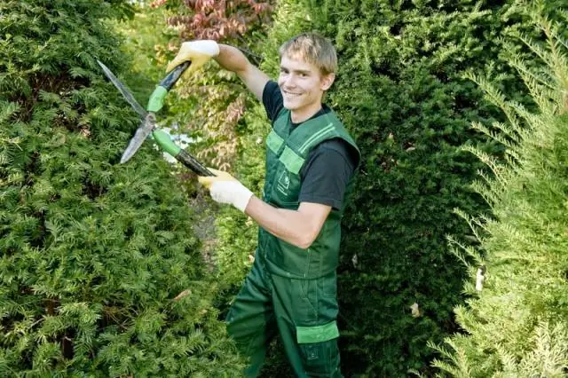 Можете ли вы сократить бьютиберри?