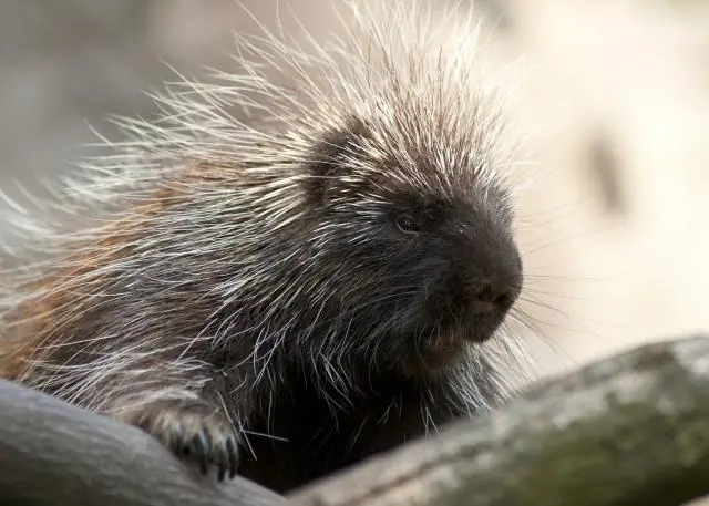 Какие бывают размеры щебня?