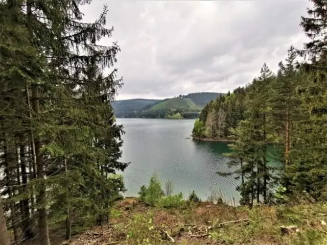 Как сделать лес в маленькой алхимии?