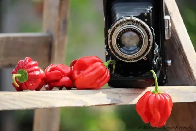 Как сажать картошку в старые шины?
