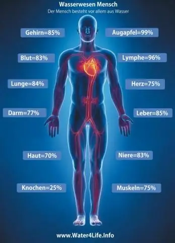 Почему так важен консервный нож?
