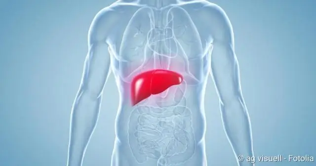 Может ли человеческая кожа таять?