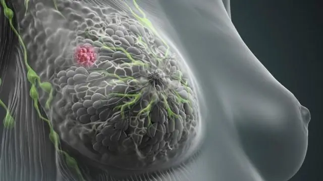 Как быстро растет овсяница?